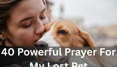Prayer For My Lost Pet